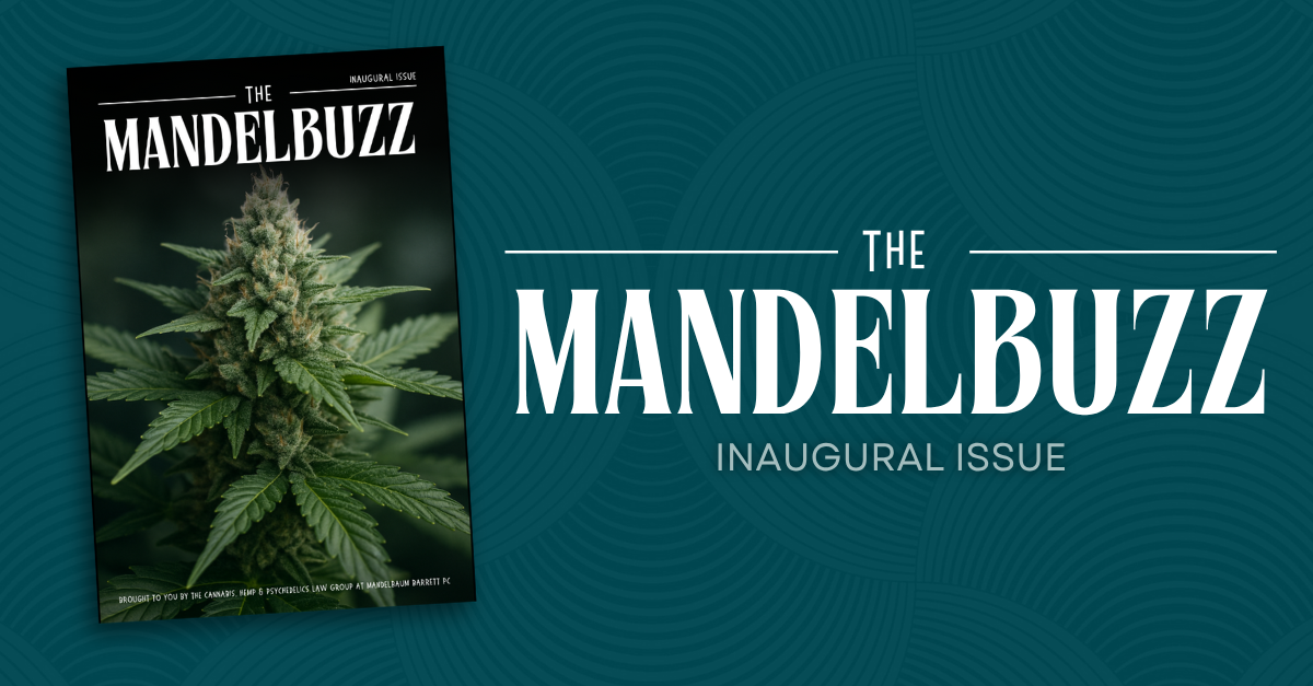The Mandelbuzz magazine inaugural issue with cannabis plant cover.