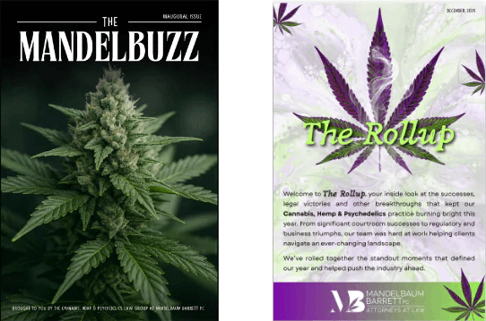 the cover of the magazine with cannabis plant on it